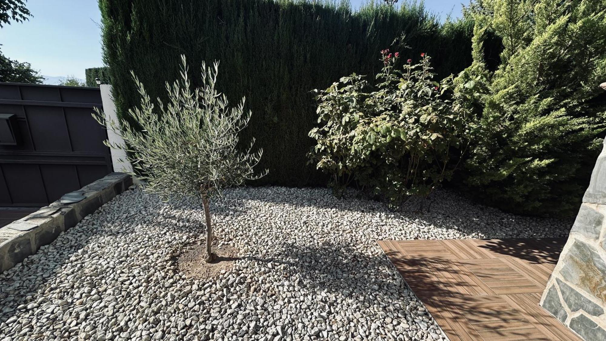 Extraordinaria Villa Con Piscina Y Chimenea غرناطة المظهر الخارجي الصورة